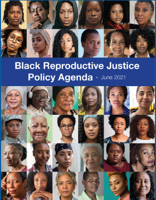 Screen shot of Volume Cover: Black Reproductive Justice Policy Agenda