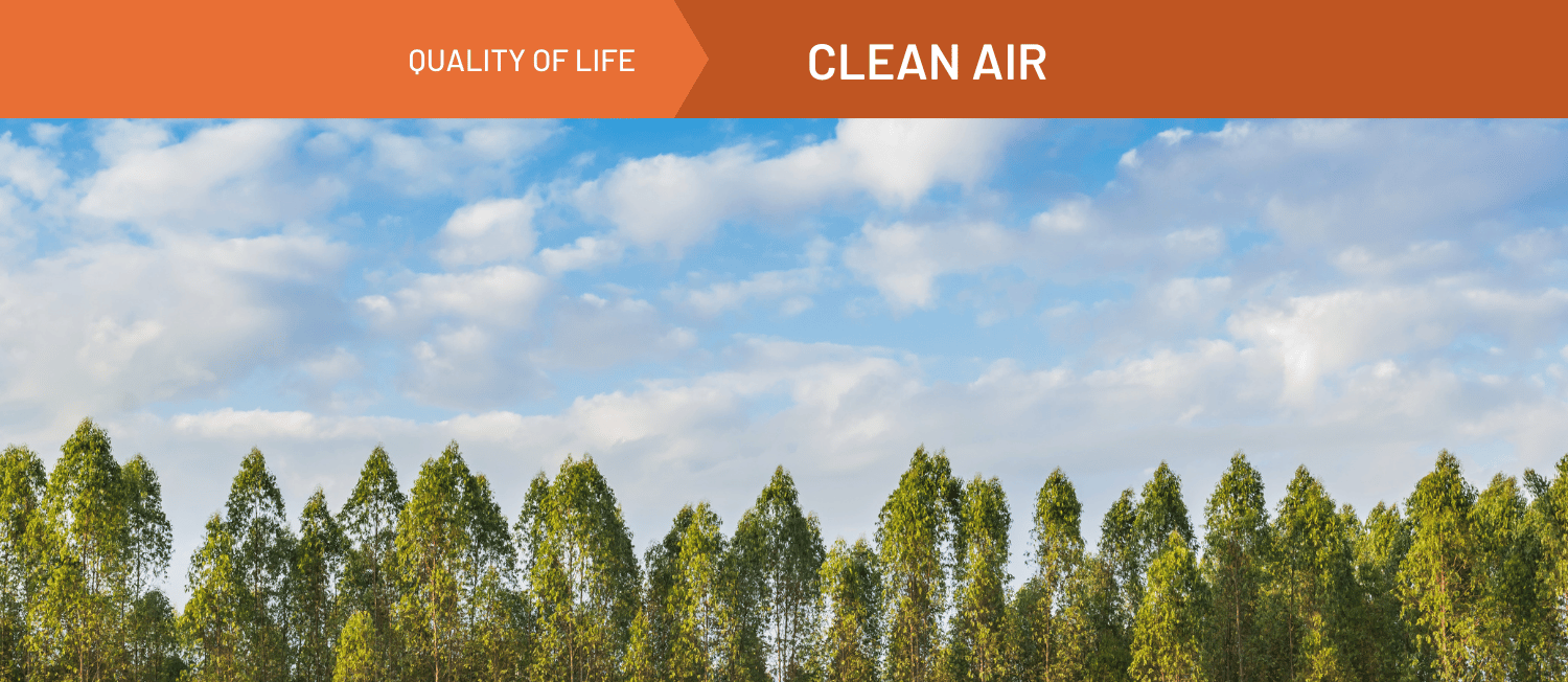 Photo of trees with a blue sky and clouds behind them. Orange banner reads 