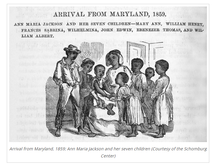 Screen shot of cover photo: Enslaved Women's Sexual Health: Reproductive Rights as Resistance