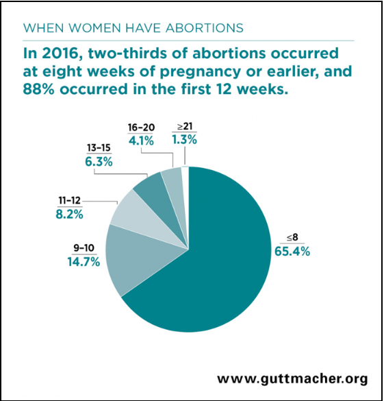 Screen shot of article table: Induced Abortion in the United States