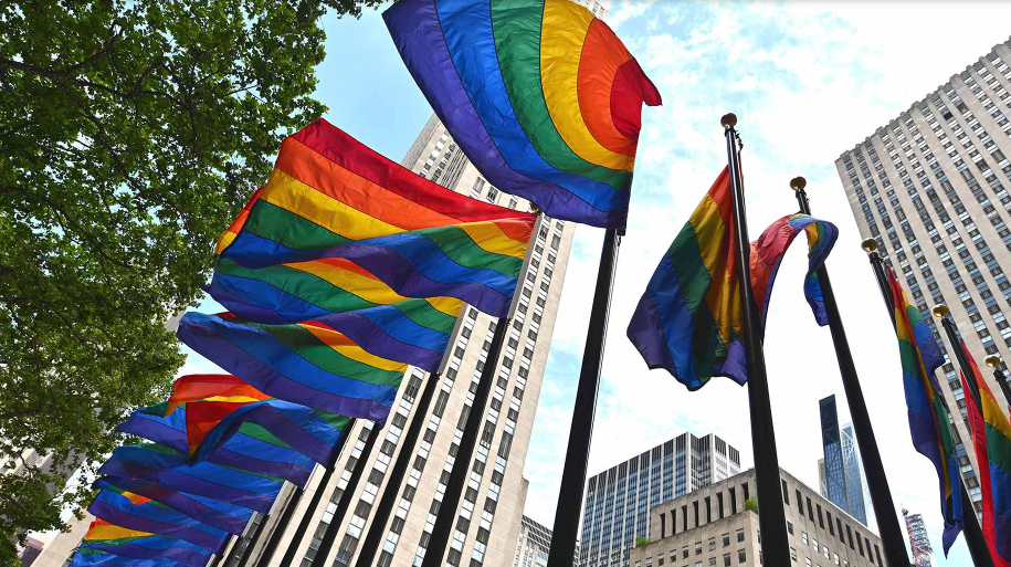 Screenshot of article cover photo: LGBT Identification Rises to 5.6% in Latest U.S. Estimate