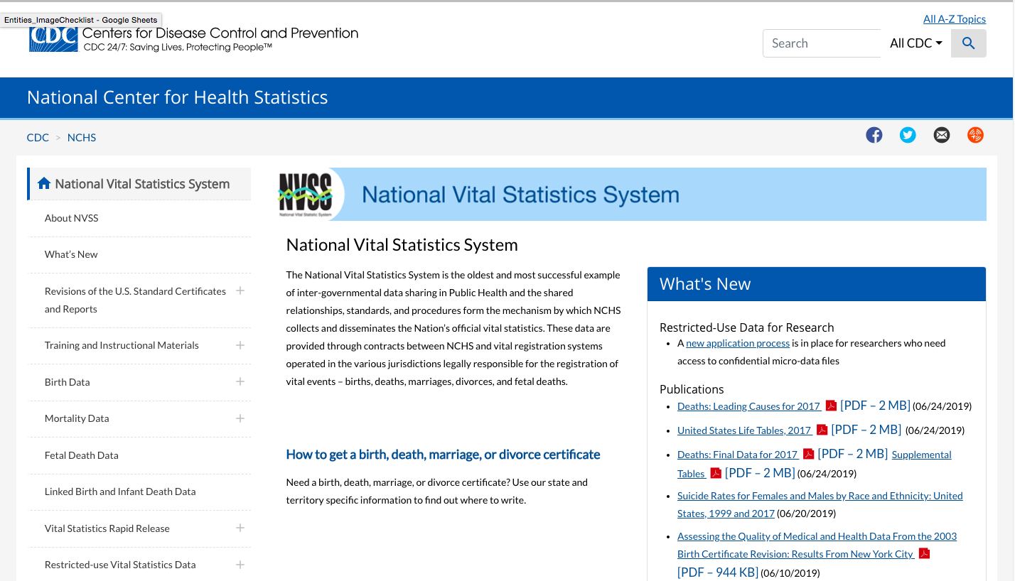 Screen grab of National Vital Statistics System tool