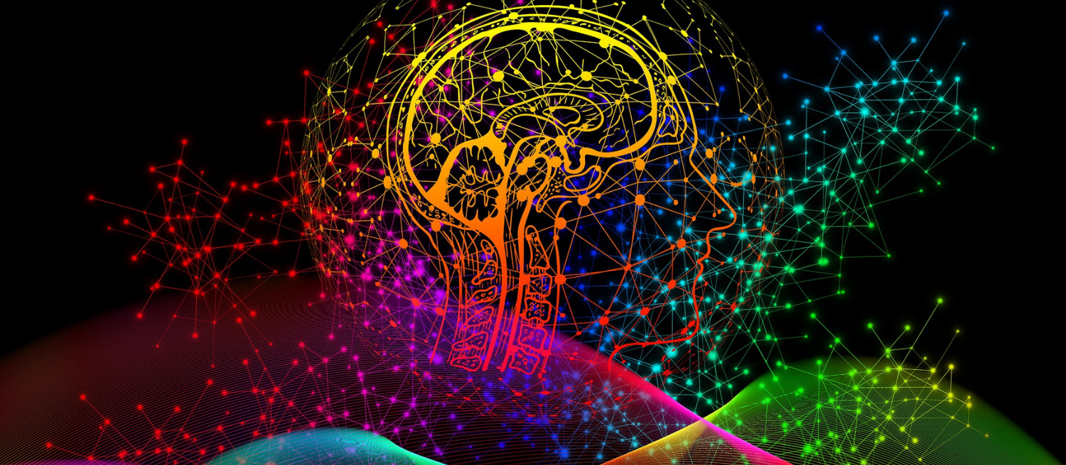 colorful graphic image of a brain Image by Gerd Altmann from Pixabay