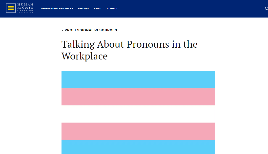 Screenshot of webpage: Talking about Pronouns in the Workplace