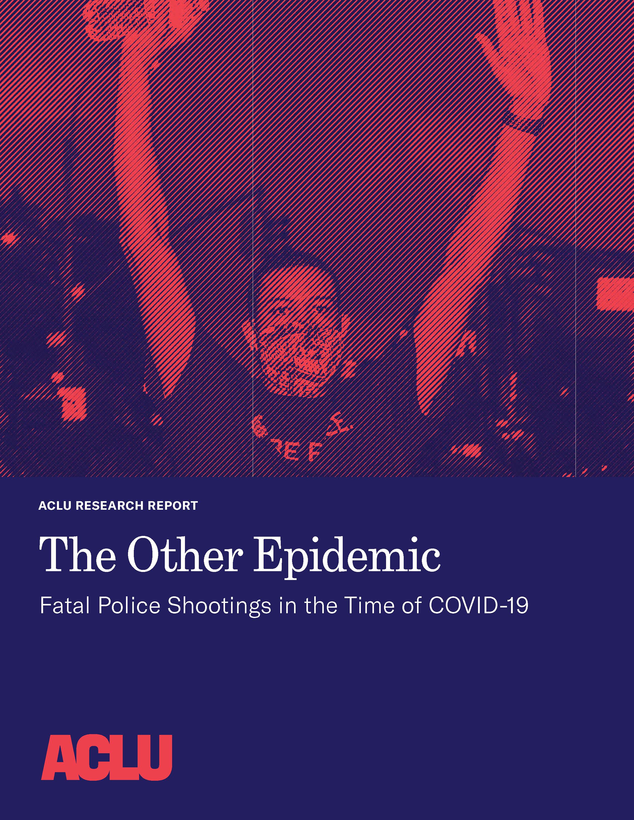 PDF Cover: The Other Epidemic